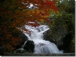 紅葉と滝だ～