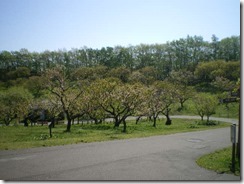 平岡梅林公園