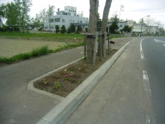 R0010845.JPG