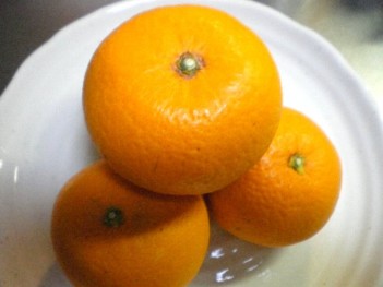 清美タンゴール.jpg