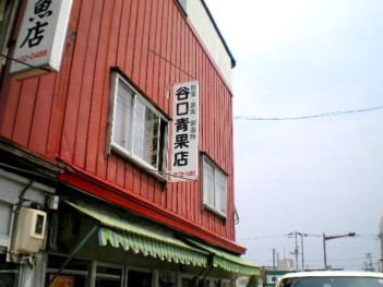 谷口青果店は岩建協のお向かいです.jpg