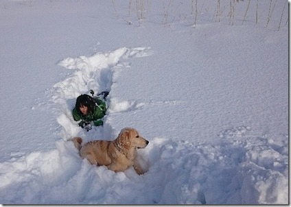 新雪散歩