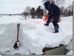 雪降し