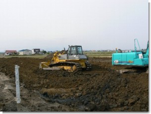 D65ブル.JPG