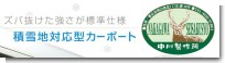 nakagawasei.jpg