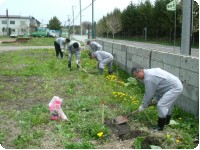 09.5.12  桜の苗を植樹.jpg