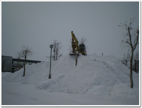 雪盛り