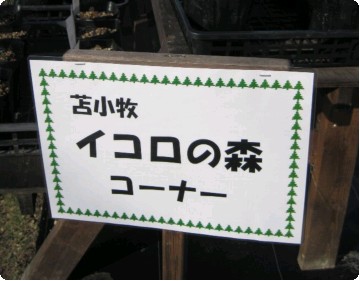 イコロの森２.jpg