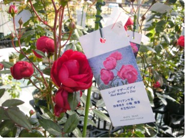 画像 059.jpg