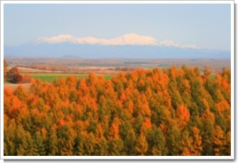 119 紅葉と大雪.jpg
