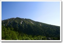 春山6(新緑の山)上富良野.jpg