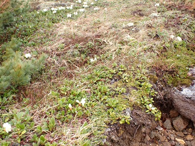 P6180079