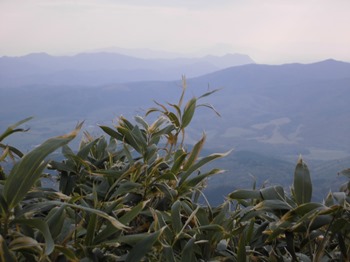 雄鉾岳方面