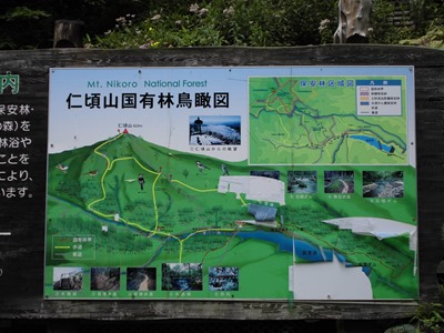 仁頃山国有林鳥瞰図