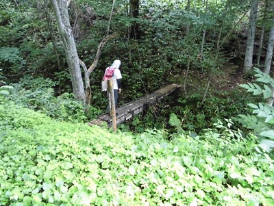 清流沢の橋