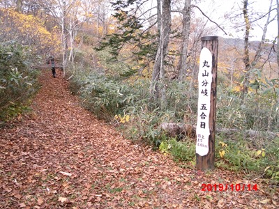 CIMG4373