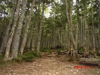 CIMG4236