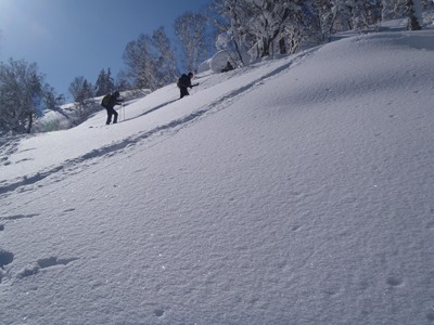 登高