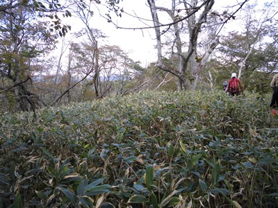 尾根道