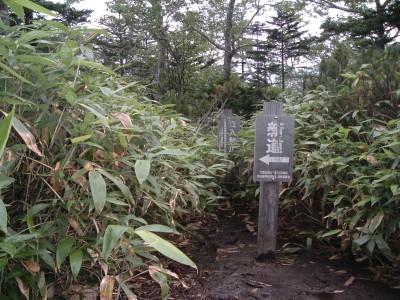 札幌山岳会コマドリ 旧道分岐064.jpg