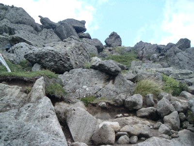 札幌山岳会夏のトムラウシ山 頂上直前078.jpg