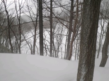 札幌山岳会 尾根取り付き064.jpg