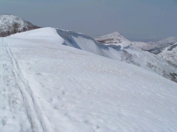 札幌山岳会 1038ｍ下りから084.jpg