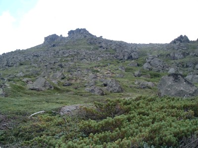 札幌山岳会 夏のトムラウシ山頂上直下075.jpg