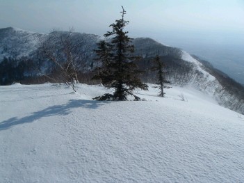 札幌山岳会 熊見山064.jpg