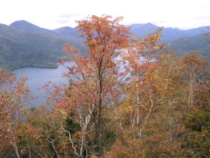 天望山からの然別湖 035.jpg