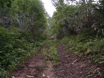 登山道-タモギタケ 061.jpg