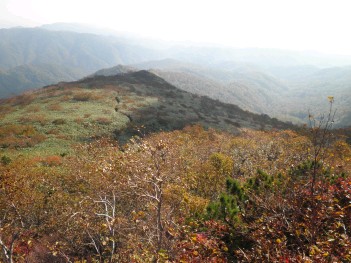 登山道015.jpg