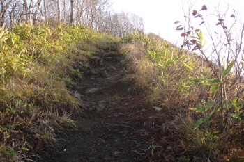 尻別岳遊歩道063.jpg