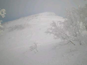 白樺山手前 042.jpg