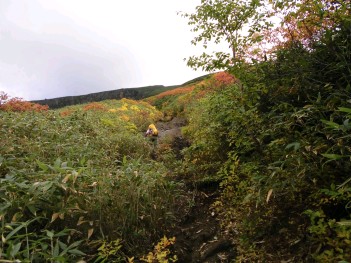 分岐からの登山道 019.jpg