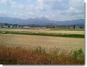 下徳富駅ホーム風景