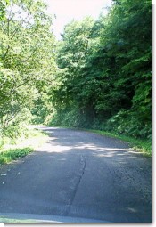 展望台道路２