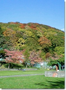 栗山公園紅葉