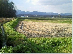 鶴沼駅風景