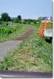 利根別川遊歩道左東町