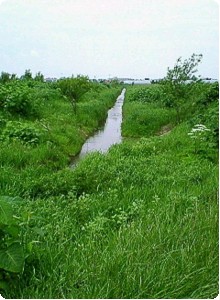 利根別川上流１