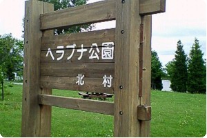 ヘラブナ公園