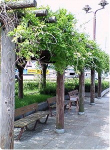 ２条橋