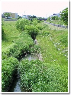 利根別川２条橋下流側