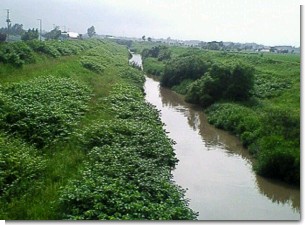 協和橋下流