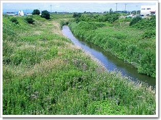 大和橋下流