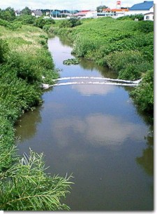 みさかえ橋下流